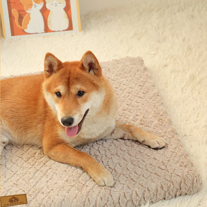 Orthopedic foam dog bed – photo 4