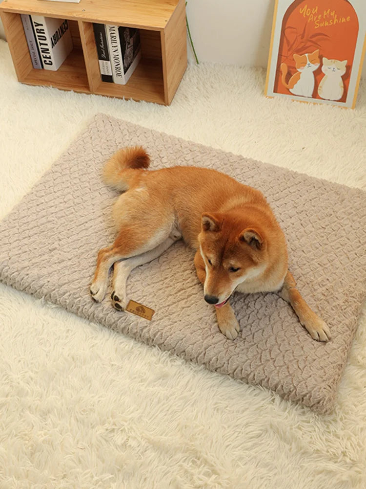 Orthopedic foam dog bed – photo 6