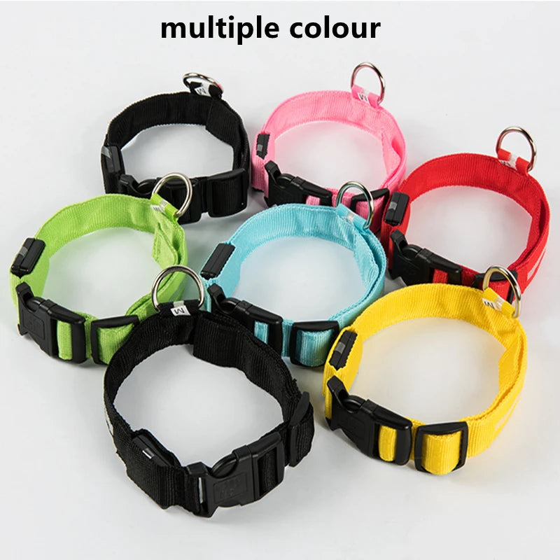 Rechargeable LED dog collar – photo 26