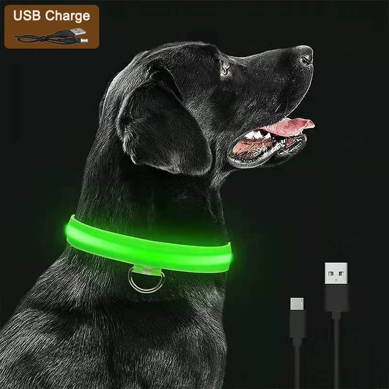 Rechargeable LED dog collar
