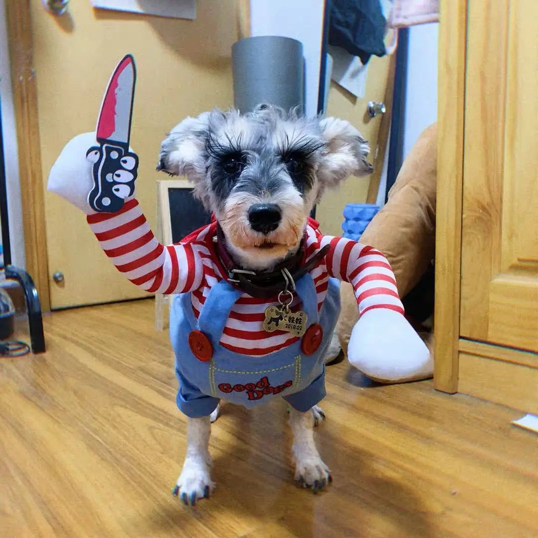 Halloween dog costume – photo 16