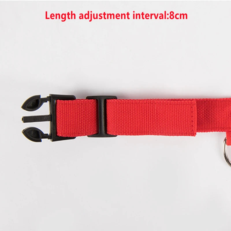 Rechargeable LED dog collar – photo 14