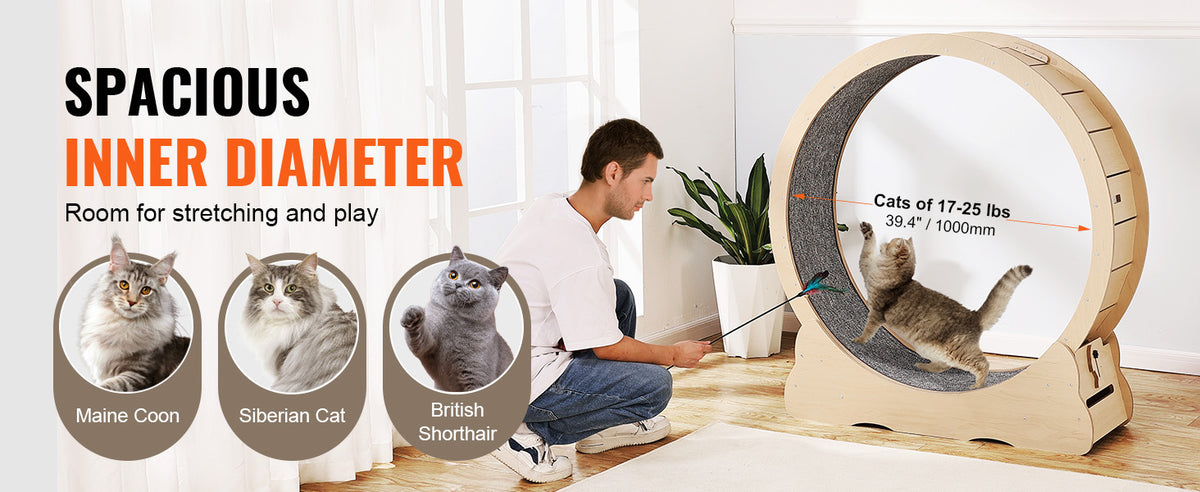 Wooden cat exercise wheel – photo 10
